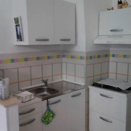 Happy Sunday * 트라니