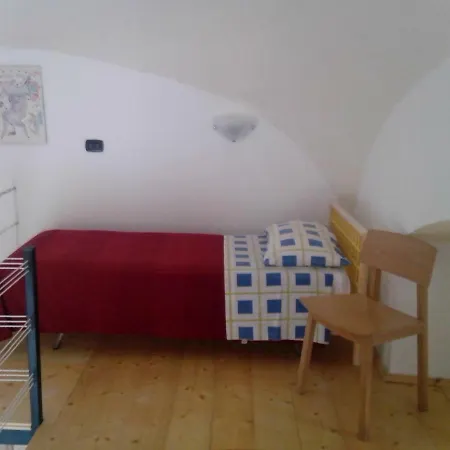 Happy Sunday 트라니